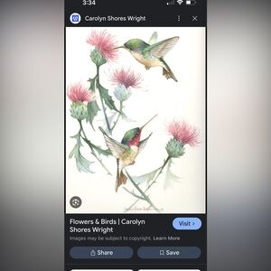 Vintage Carolyn Shores Wright Hummingbirds w/Thistle 2 framed pieces of artwork